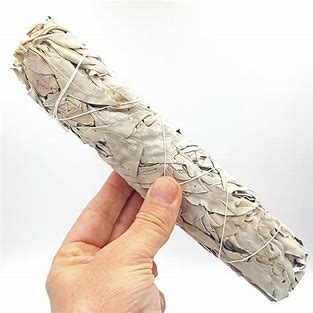 8” White Sage Smudge Stick